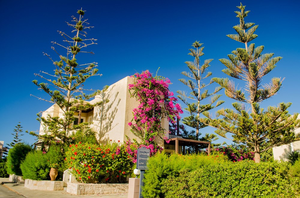 Your Memories Hotel & Apartments